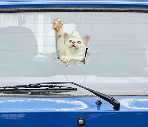 Adhesivos 3D de gatos (Paquete de 2)