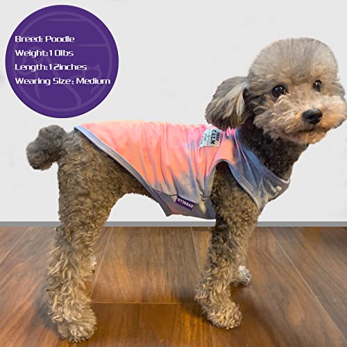 cyeollo Paquete de 2 camisas para perro, teñido anudado, chaleco elástico, camiseta sin mangas, transpirable, ropa de verano para cachorros, perros y gatos