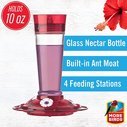 More Birds - Comedero de colibrí con diseño de rubí, Rubí, Rojo Rubí