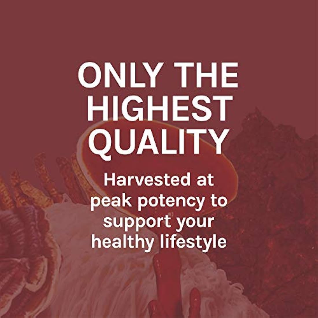 Host Defense - Extracto de Reishi apoya un corazón saludable