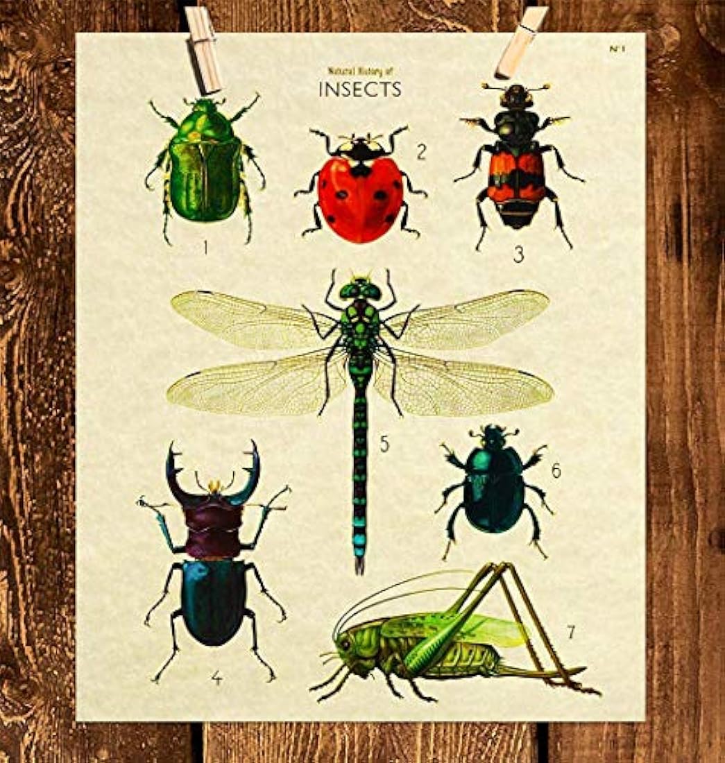 póster de arte de pared 8x10 póster de error científico