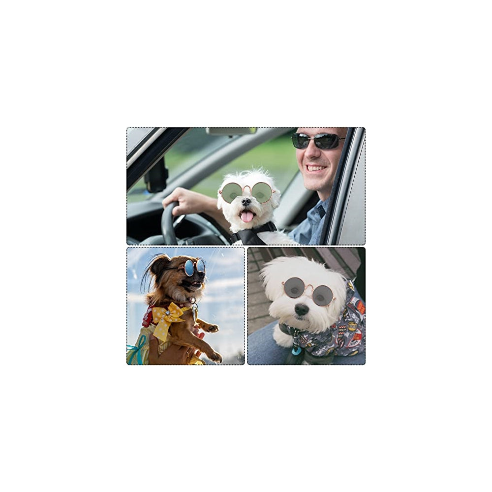 Disfraces de 6 piezas para perro talla única