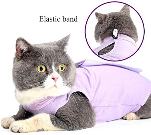 Traje de recuperación profesional para gatos para heridas abdominales y enfermedades de la piel, alternativa de cuello electrónico para gatos y perros, después de la cirugía, antilamer y recomendado por veterinarios (morado, L