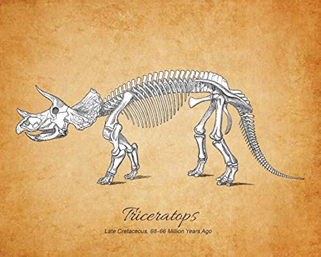 Impresiones de arte de pared de fósiles de dinosaurios