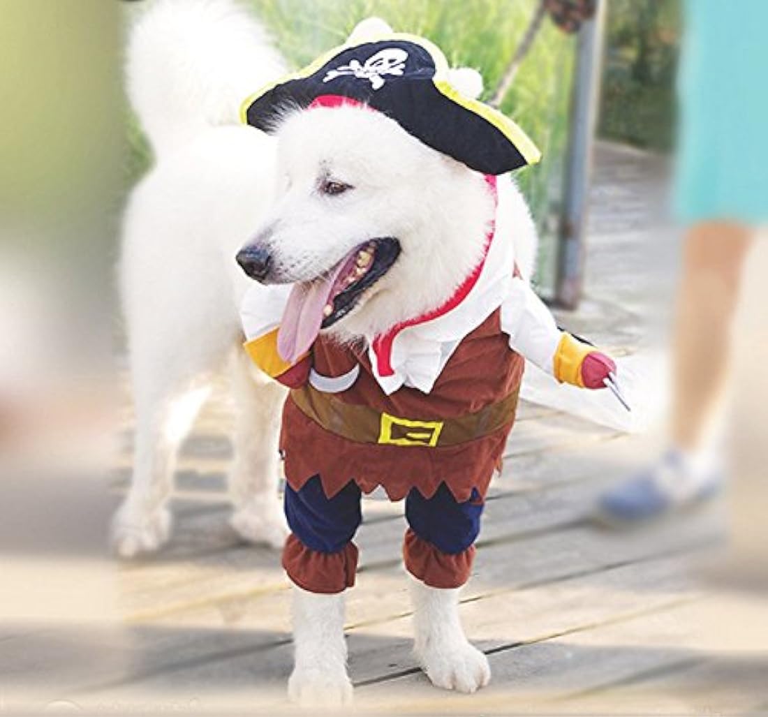 Disfraces de Nacoco. Disfraz para mascotas y perros de Piratas del Caribe, disfraz para gatos