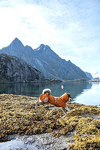 Hurtta Monsoon Coat, impermeable para perros