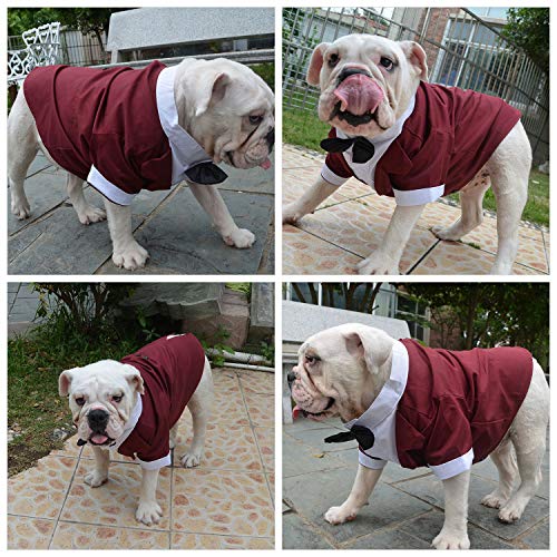 Lovelonglong Disfraz de mascota para perro, esmoquin formal con pajarita negra para perros grandes, medianos y pequeños, ropa de gato