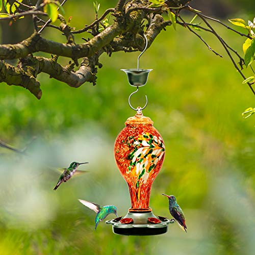 Comedero de colibrí para exteriores de vidrio LUJII