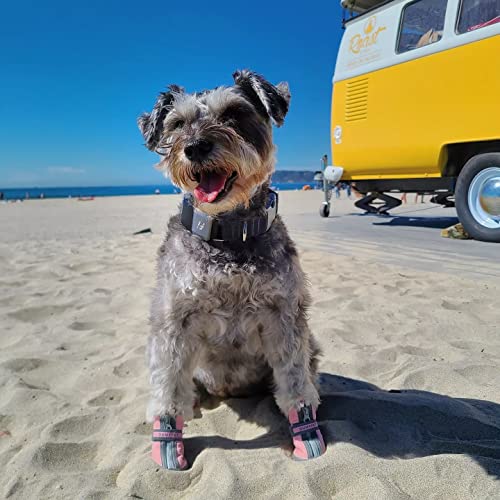 QUMY - Botas para perros pequeños y cachorros, impermeables, para la nieve del invierno, con franja reflectante, suaves y cómodas, con suela de goma antideslizante, color rosa, 4 unidades