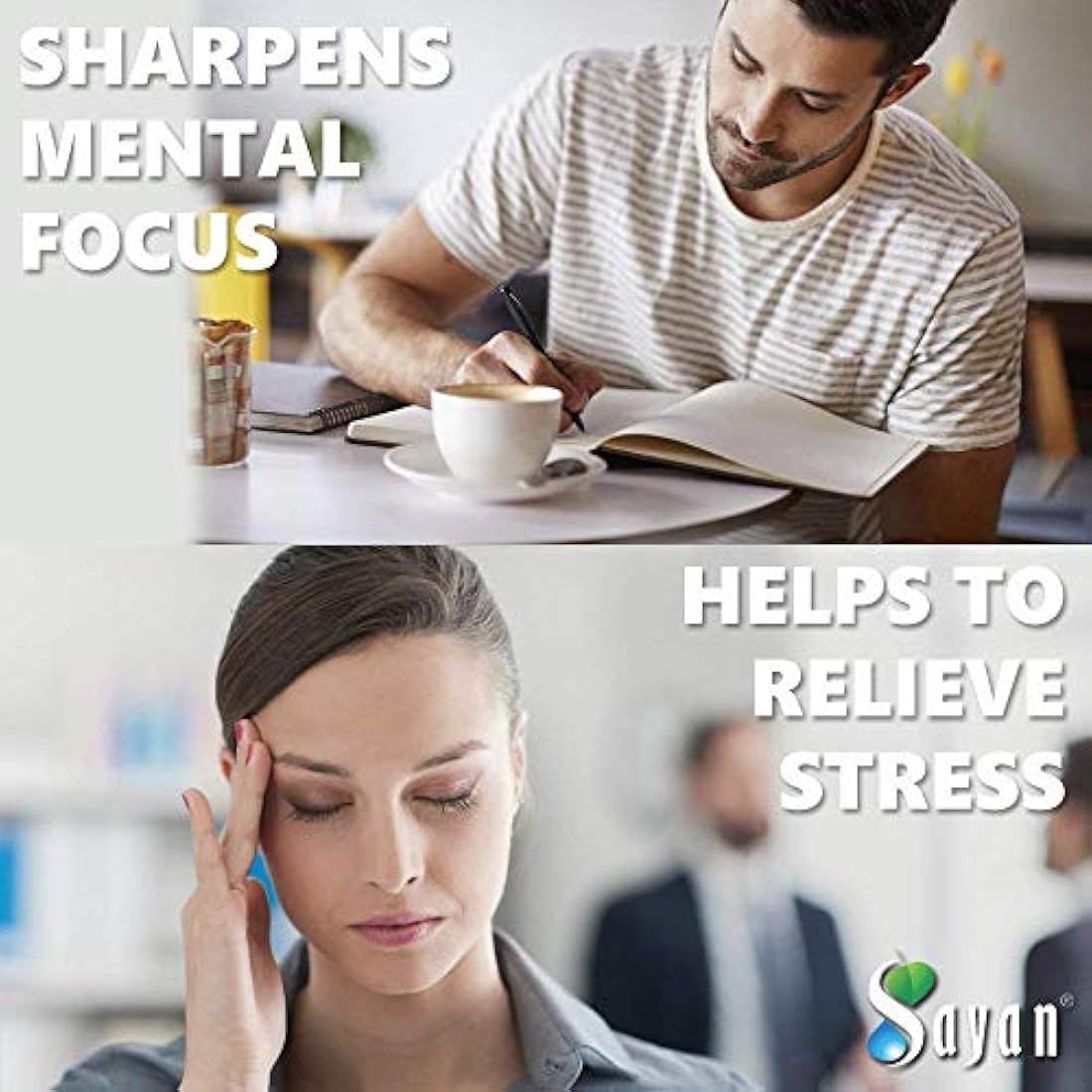 Polvo extracto hongo chaga siberiano.