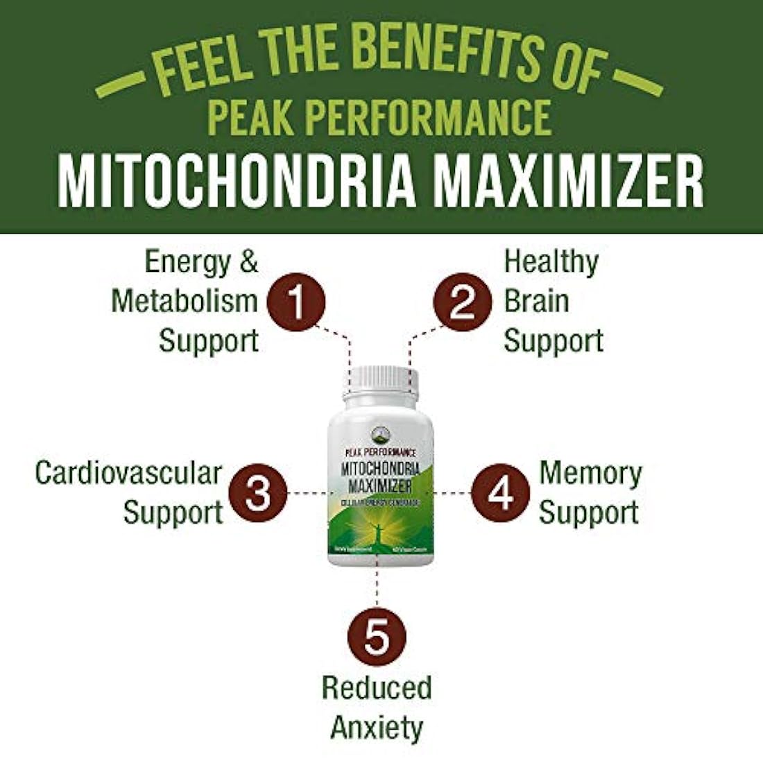 suplemento de soporte mitocondrial con aceite MCT