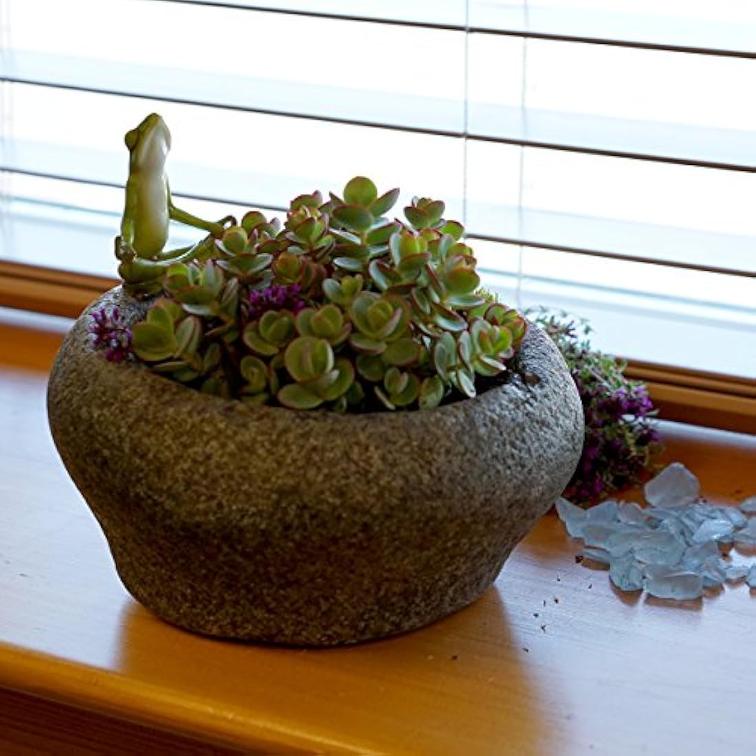 Colección Garden Rana meditando sobre funcional maceta