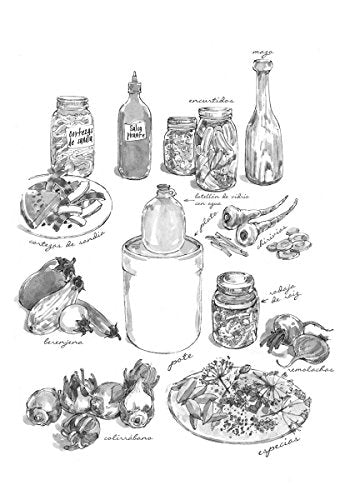 El arte de la fermentacion (Spanish Edition)