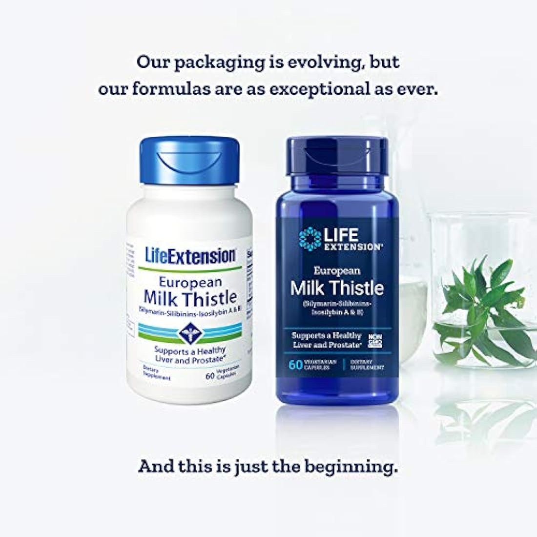 Vida Extension Europea Cardo Mariano Cápsulas Vegetarianas