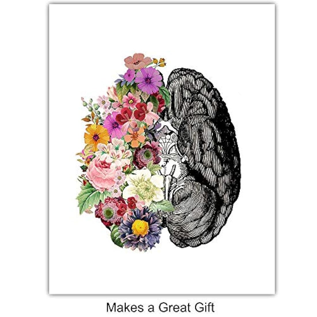 fotos sin marco -Corazón pulmones cerebro intestinos