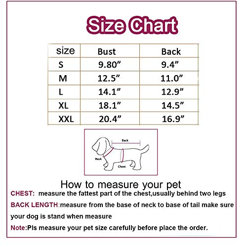 Mono de mezclilla para perro disfraz de gato y mascota