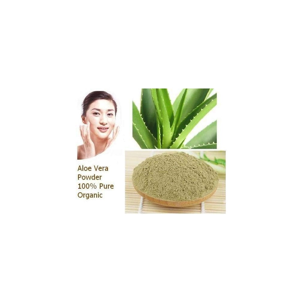 Suplementos Polvo de aloe vera 100% orgánico Barbadensis