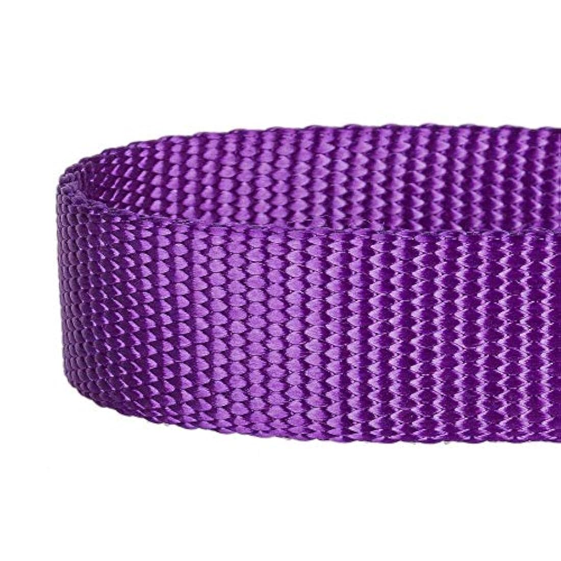 collares para masacotas