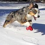 Botas para perros, impermeables, L, Negro