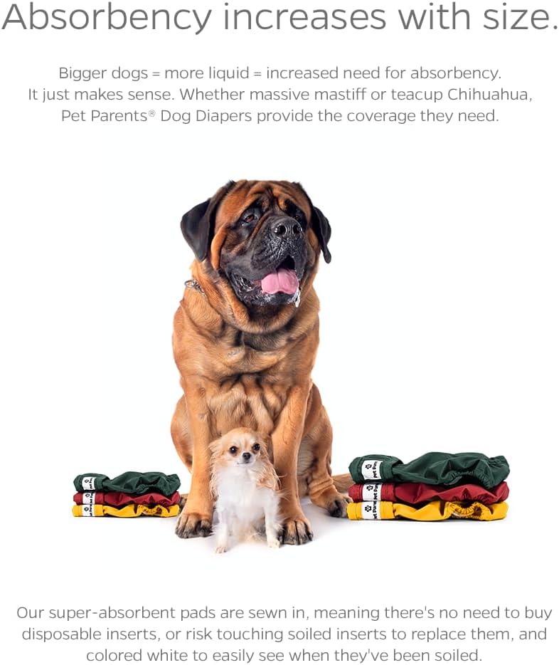 Pet Parents Pañales y extensores lavables prémium Samba, tamaño