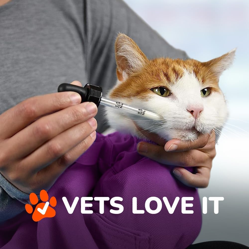 Transportín Cómodo XL - Suave, para Veterinario y Cuidado