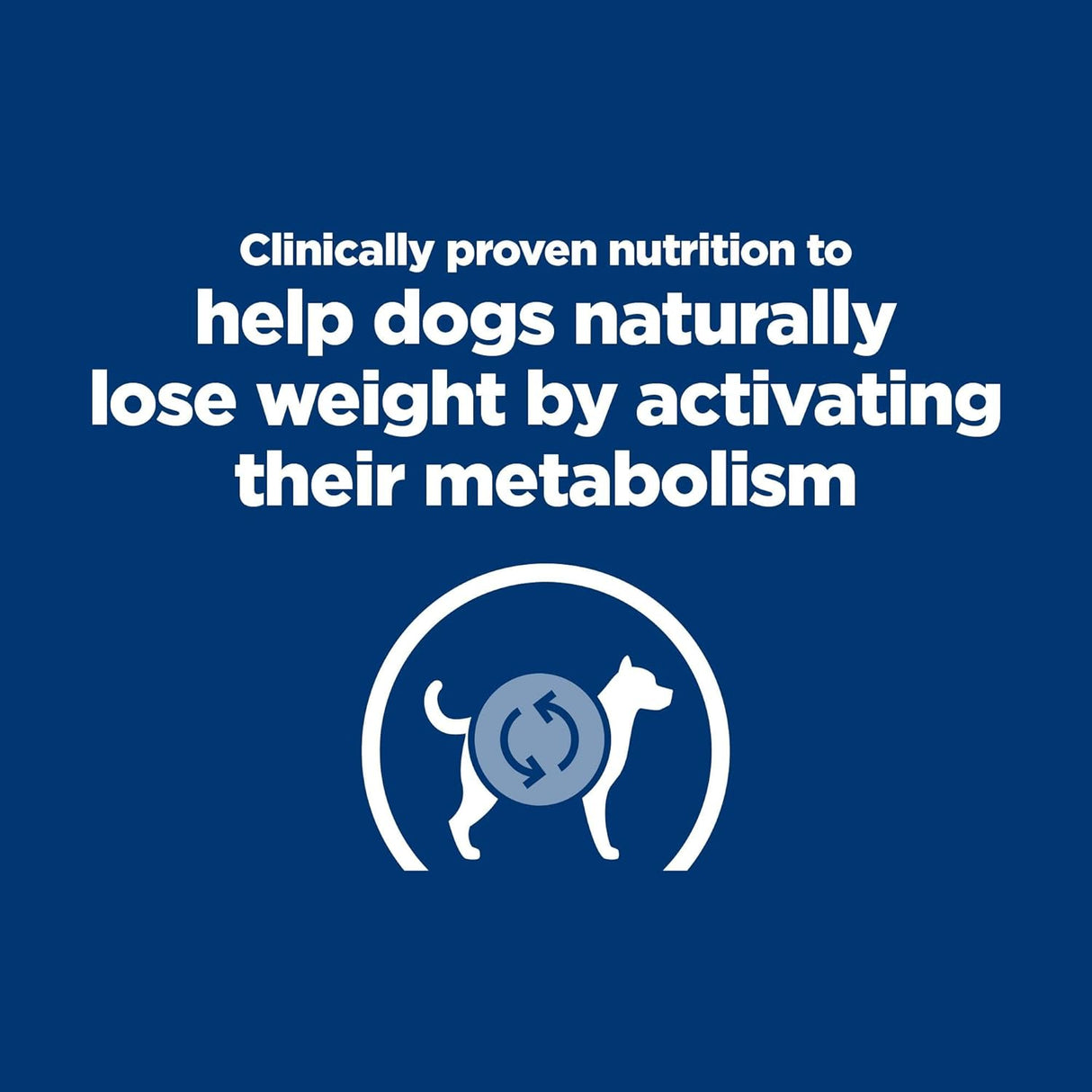 Alimento para Perros seco con sabor a pollo