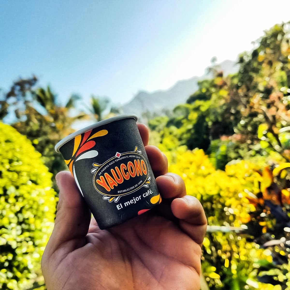 Café Molido Descafeinado Yaucono 8.8 oz Canasta (Pack de 1)