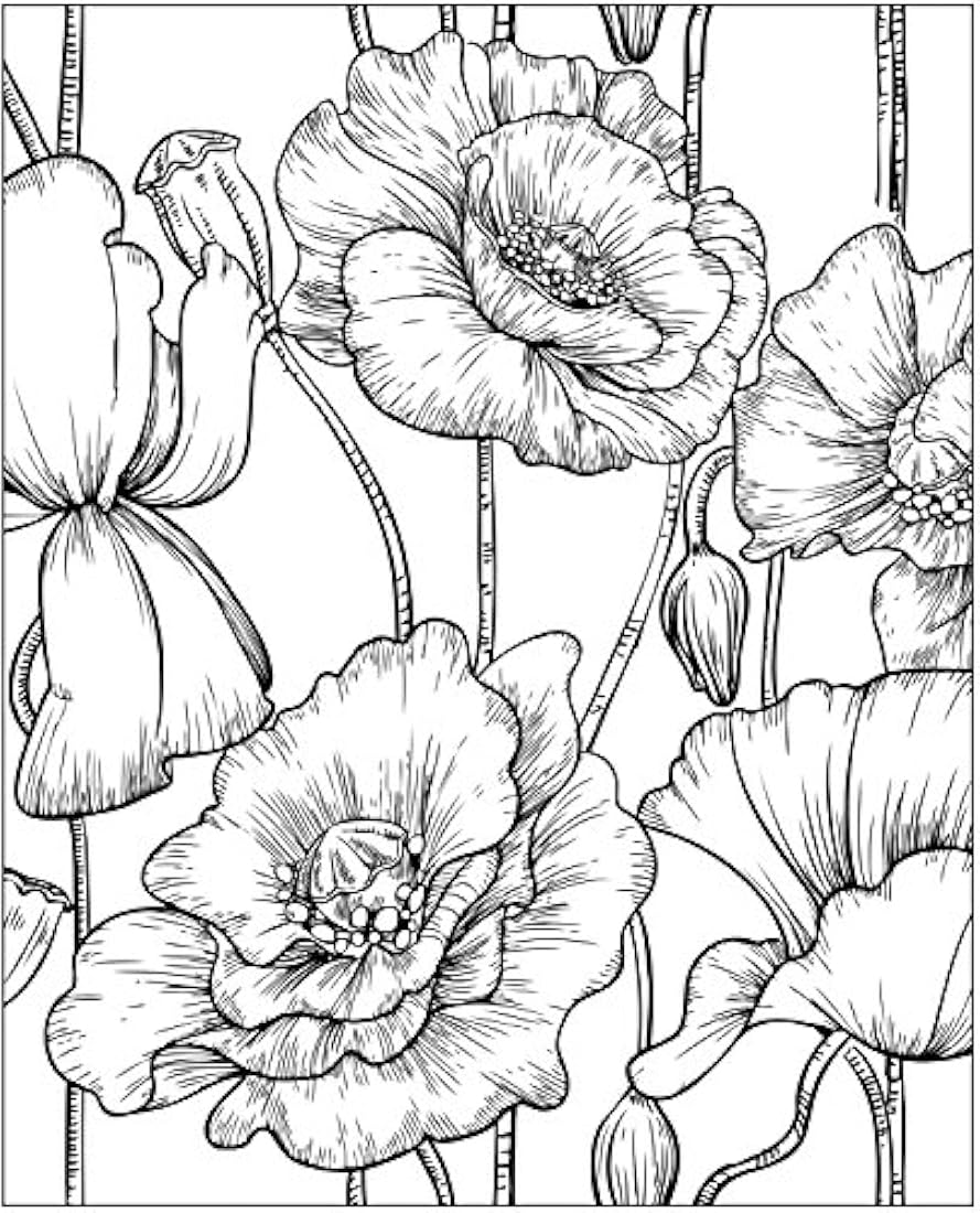 ZOCO paquete de regalo: 3 libros para colorear para adultos