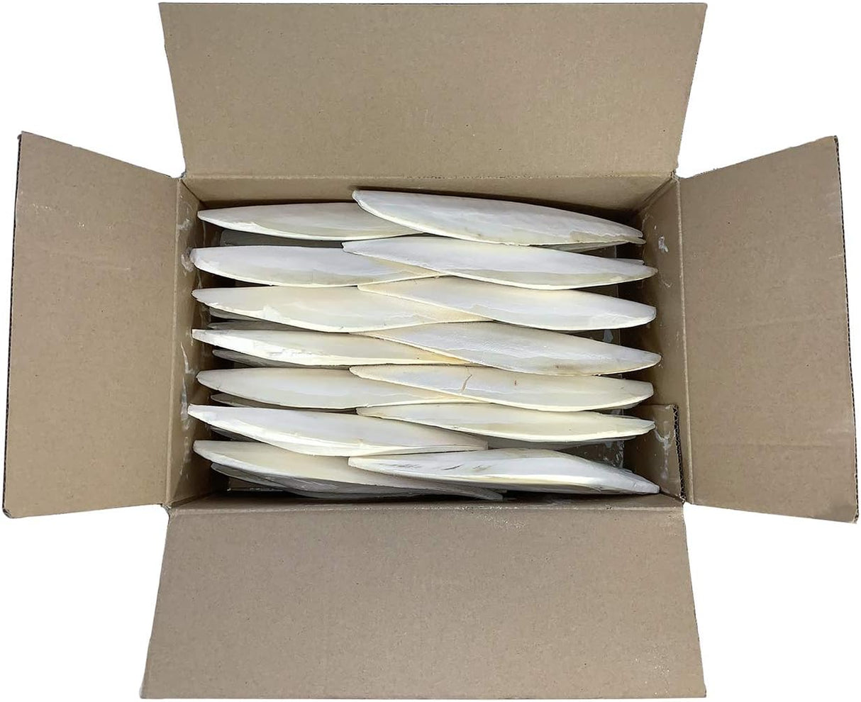 Cuttlebone de pescado para cacatúas, periquitos y más
