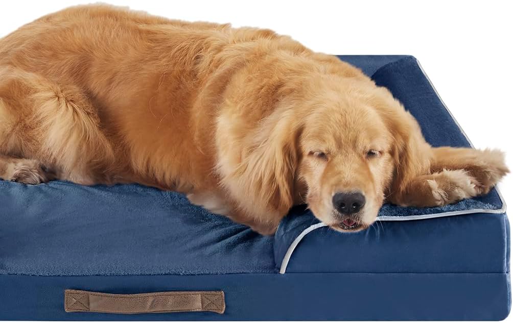 Cama ortopédica para perros Friends Forever, con memoria, 35x25x6.5