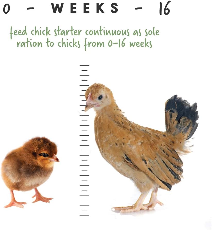 Alimentos para pajaros Manna Pro para polluelos Multicolor