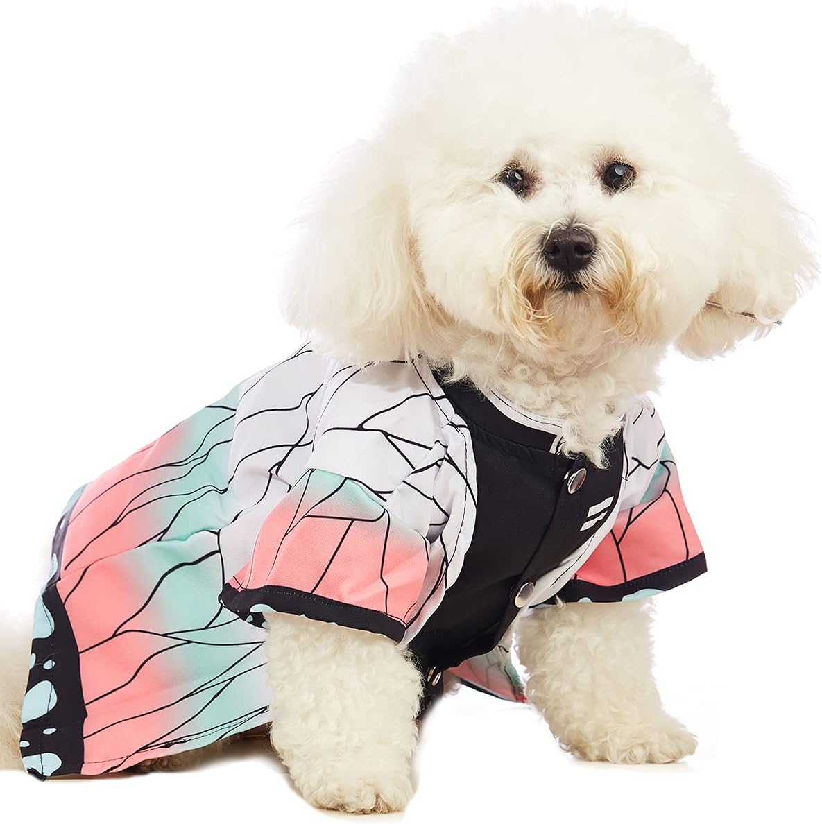 Coomour Disfraz de perro para mascotas, disfraz de gato y cosplay divertido para perros pequeños