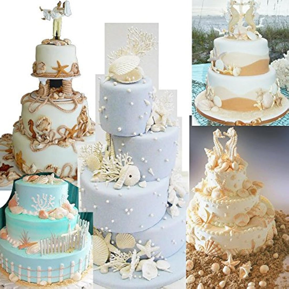 Anyana Seashell - Molde de silicona para fondant