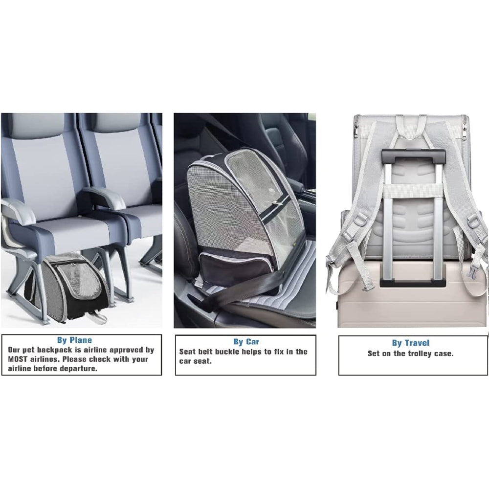 Mochilas de gatos para transporte