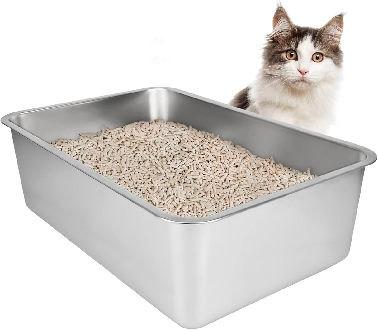 Caja de arena de acero inoxidable para gatos IKITCHEN