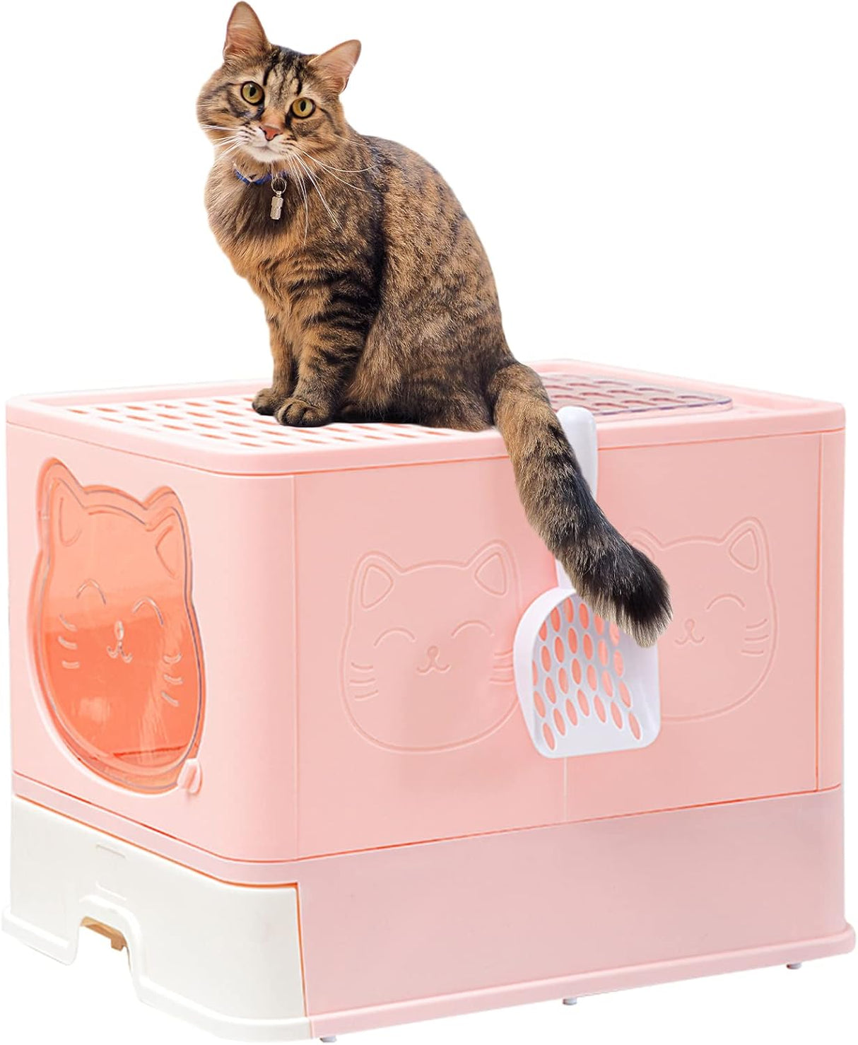 Caja de arena plegable con tapa para gatos TownTime