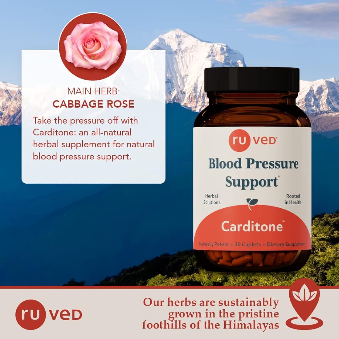 Suplementos Alimenticios soporte de presión arterial