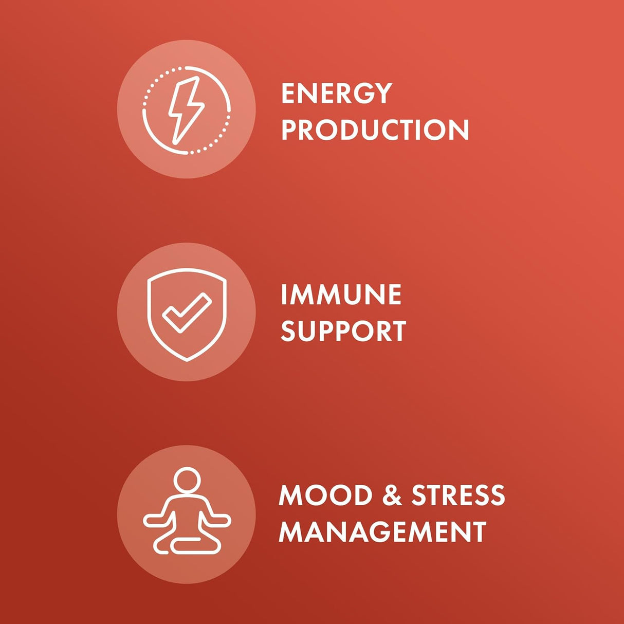 Suplemento de Ashwagandha, Dr. Mercola, Orgánico, 30 Serv.