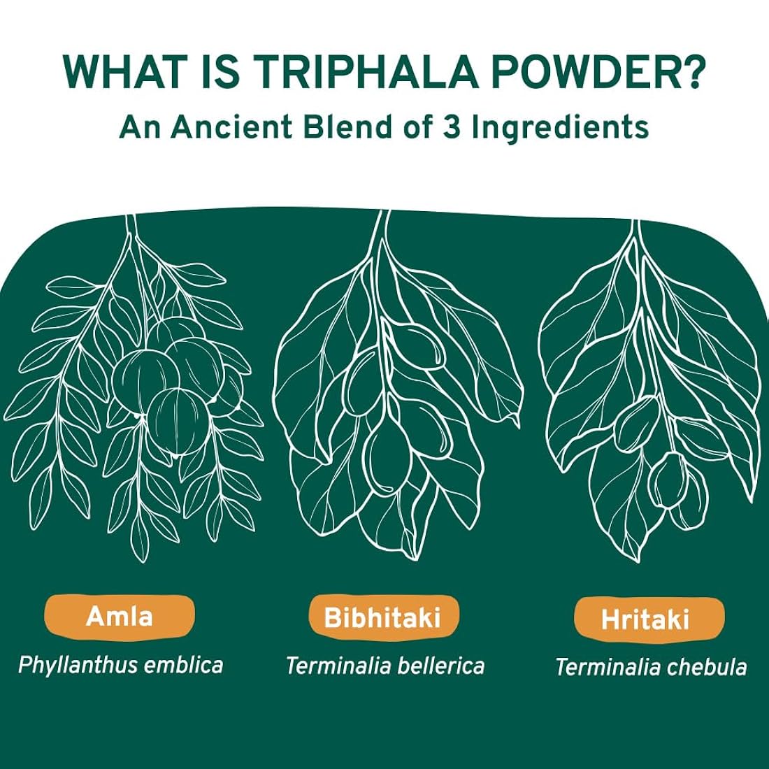 Suplemento SPICE TRAIN Triphala orgánica molida (14 onzas)