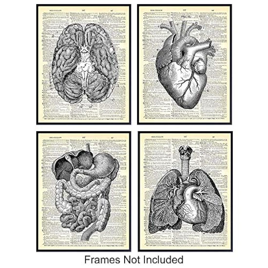 Impresiones de arte de pared 8x10 Vintage sin marco