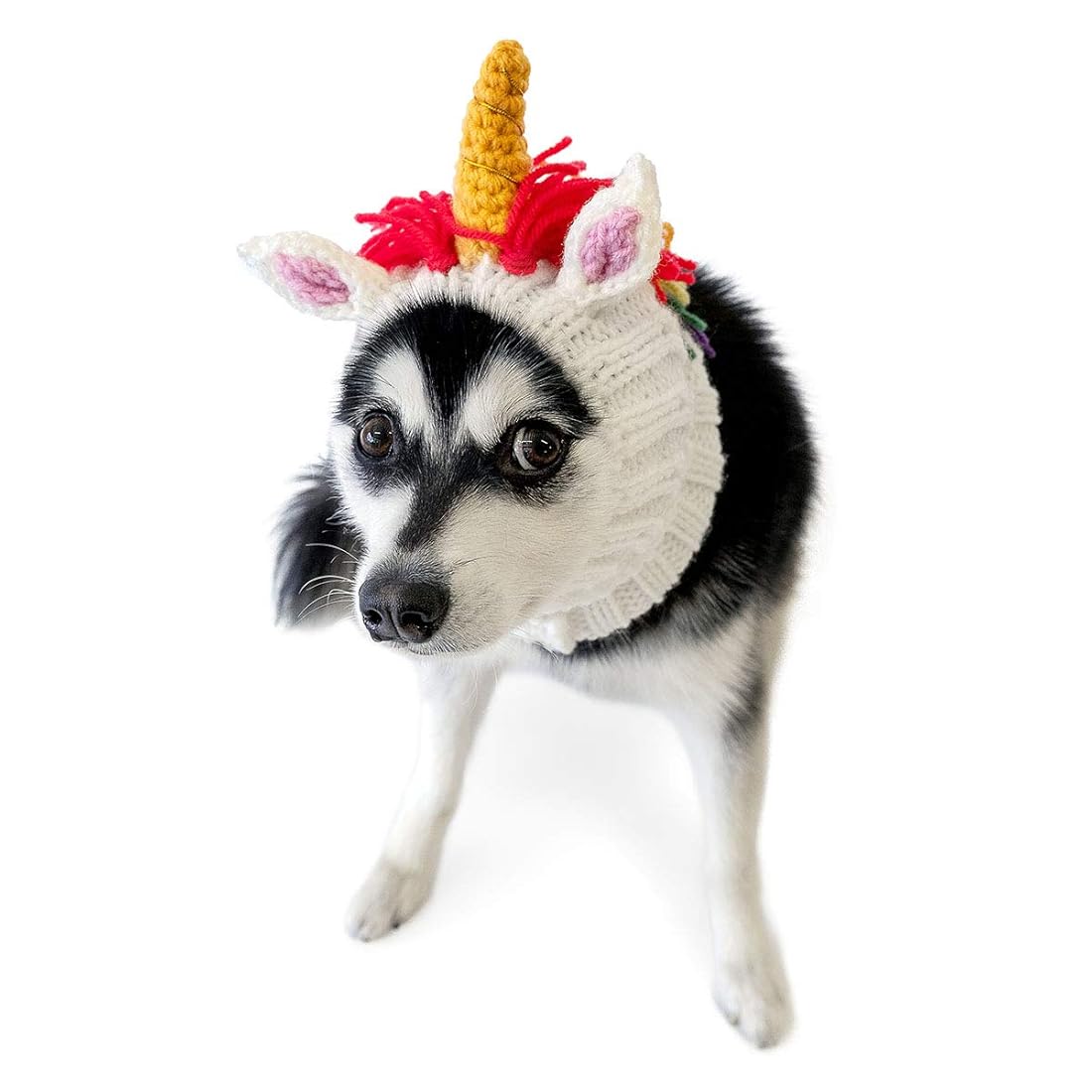 Disfraz de perro unicornio de Zoo Snoods: diadema
