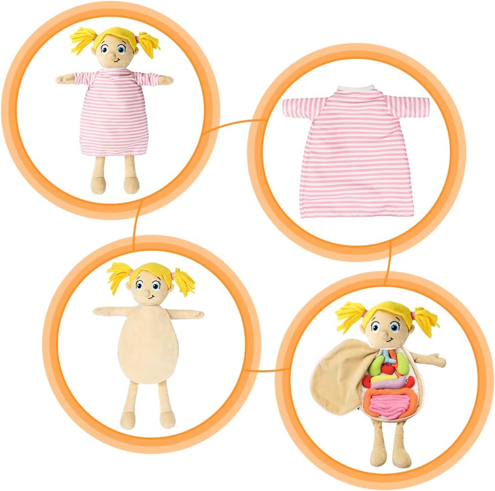 Modelo KAKIBLIN: Juguete anatómico del cuerpo humano para niños