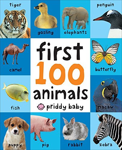 Libro Primeros 100 animales