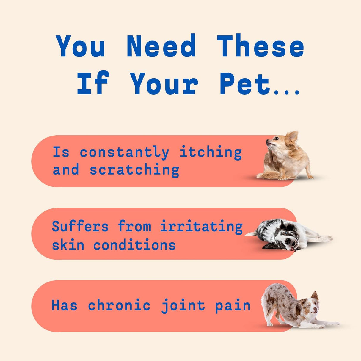 Vitaminas Suplementos de aceite de pescado para perros