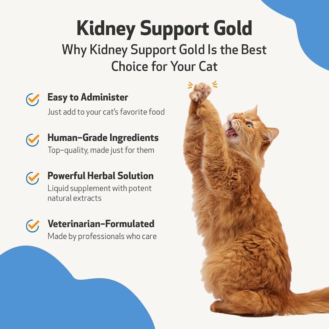 Suplementos Apoyo natural para la salud de riñón