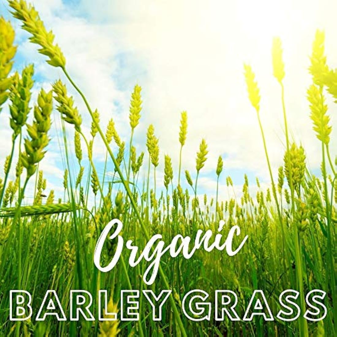 Alka-Green Powder por Morter HealthSystem B.E.S.T.
