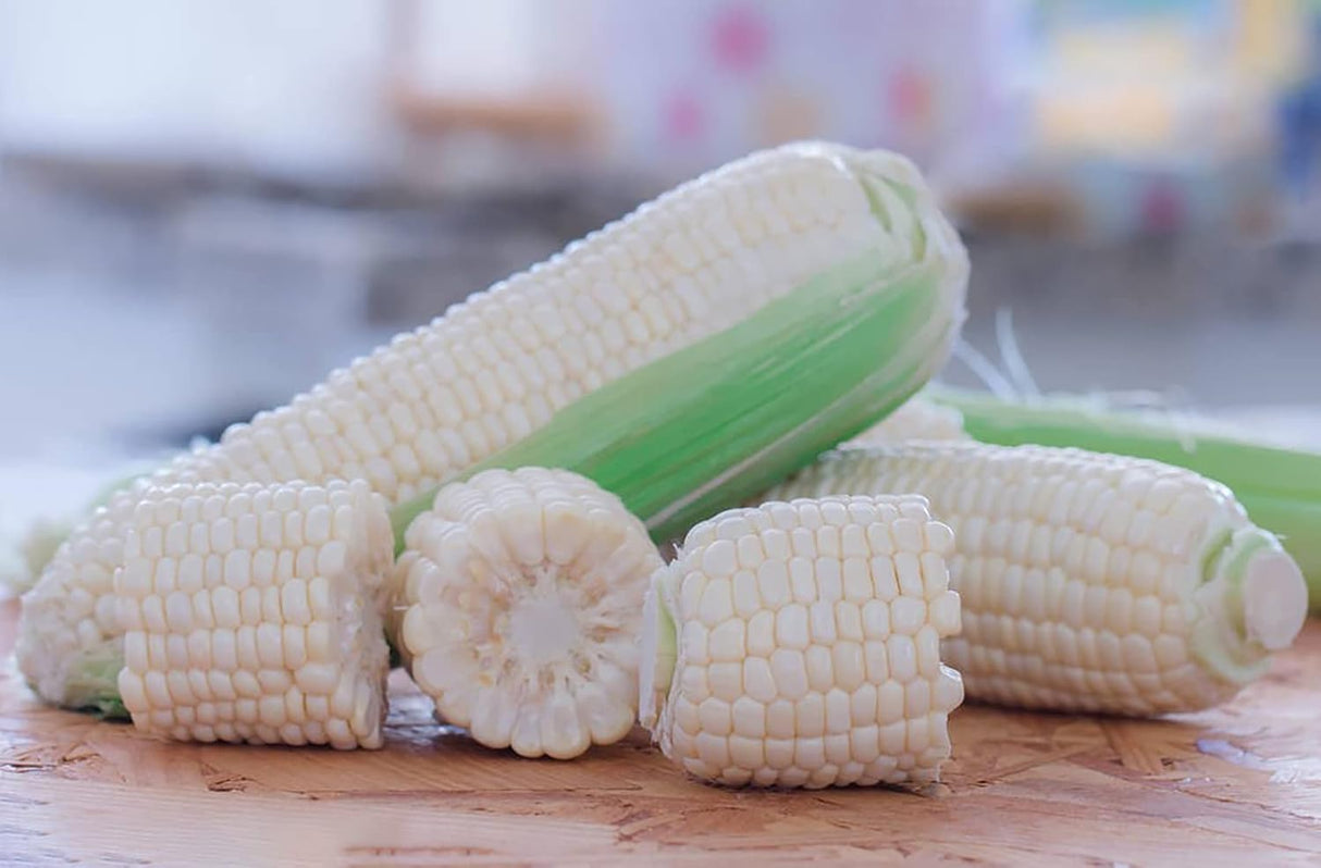 Semillas de Maíz (4 Variedades) Heirloom, 200+ No-GMO