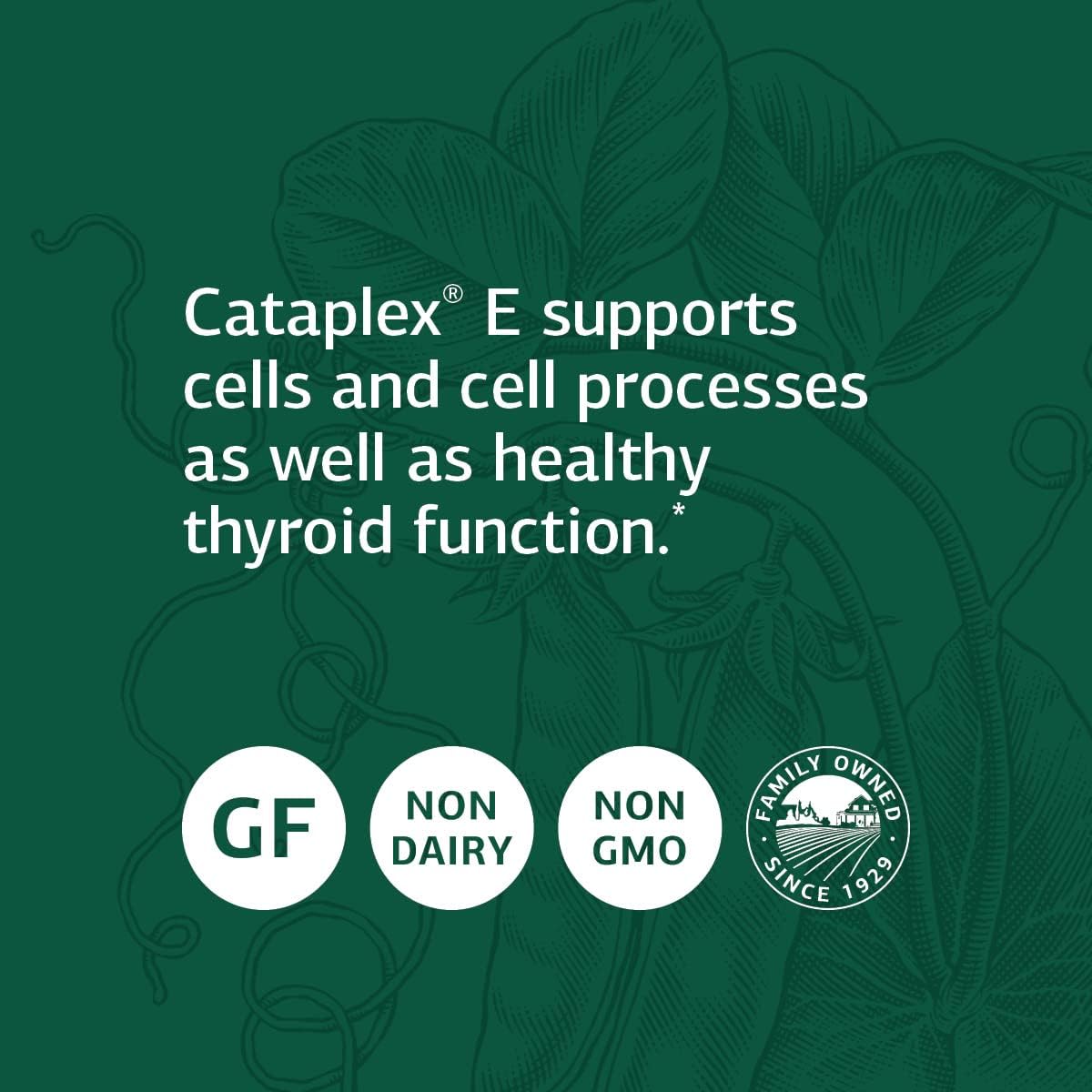 Cataplex E de Standard Process - Suplemento antioxidante, 360 tabletas