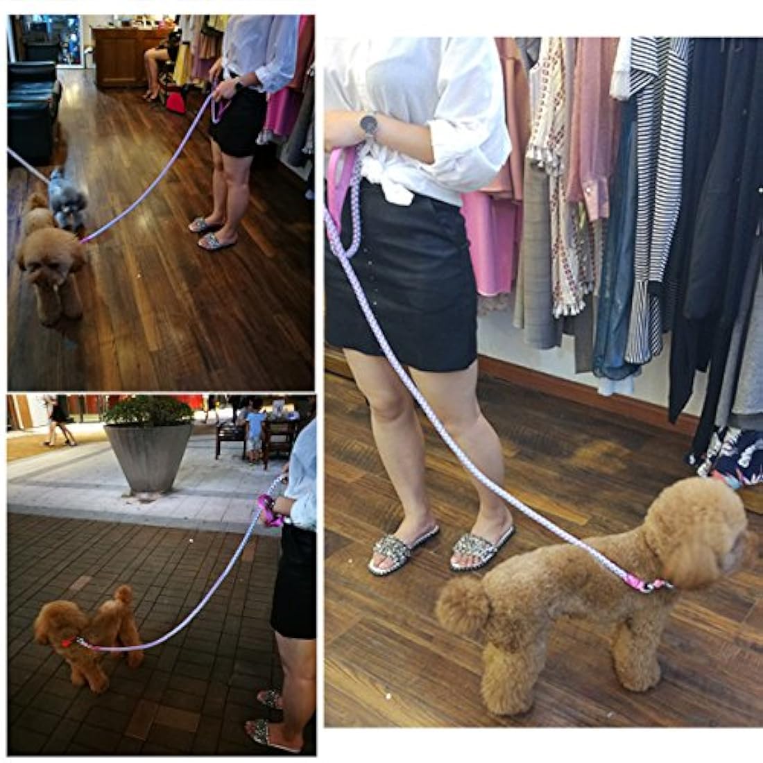 Correa para perro rosa de 6 pies para escalar montañas