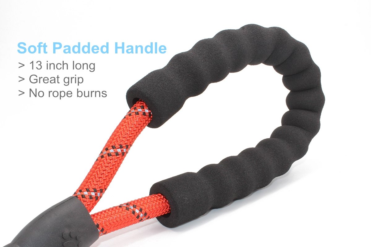 Correa fuerte para perros BAAPET de 5 pies con una cómoda